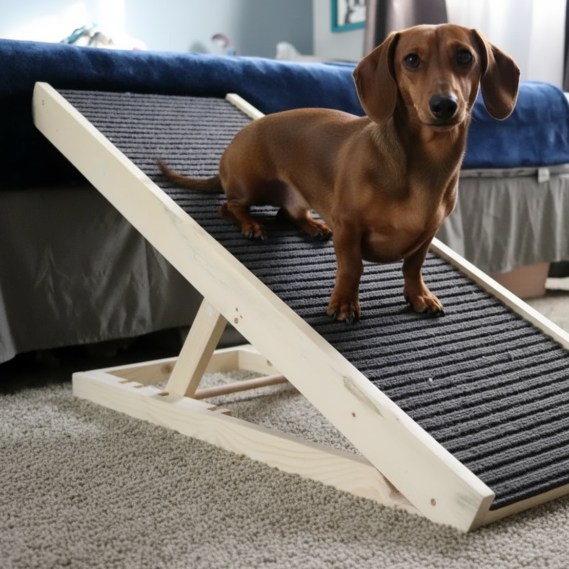 Every Jump Harms Your Dog - What Vets Wish You Knew Sooner