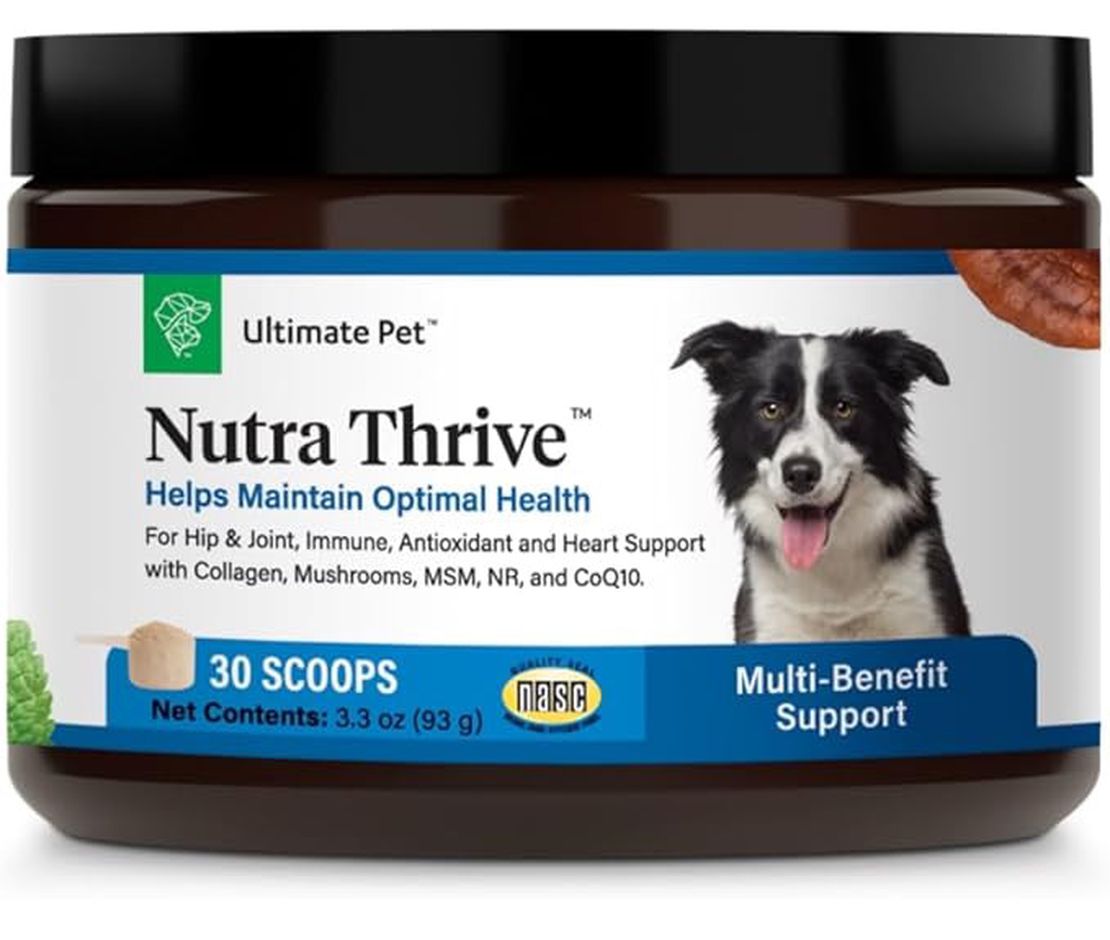 Nutra Thrive