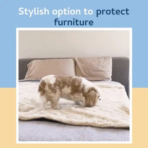 Stylish protection