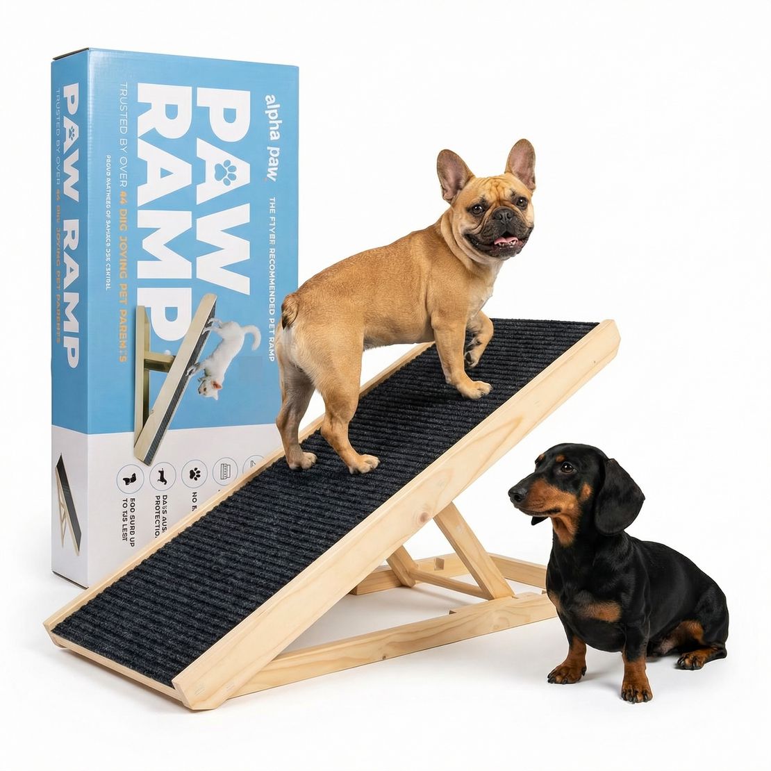 Dog comparing pet stairs with a PawRamp