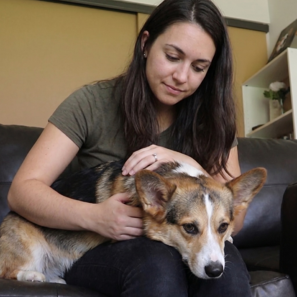 Small dog relaxing beside a couch with their owner.