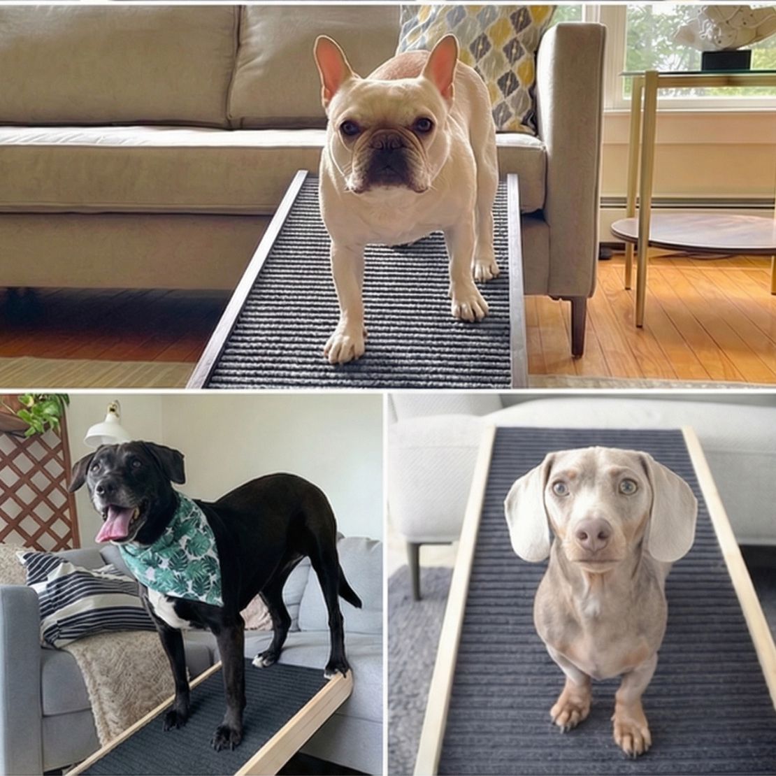 Dog showing early hesitation around furniture