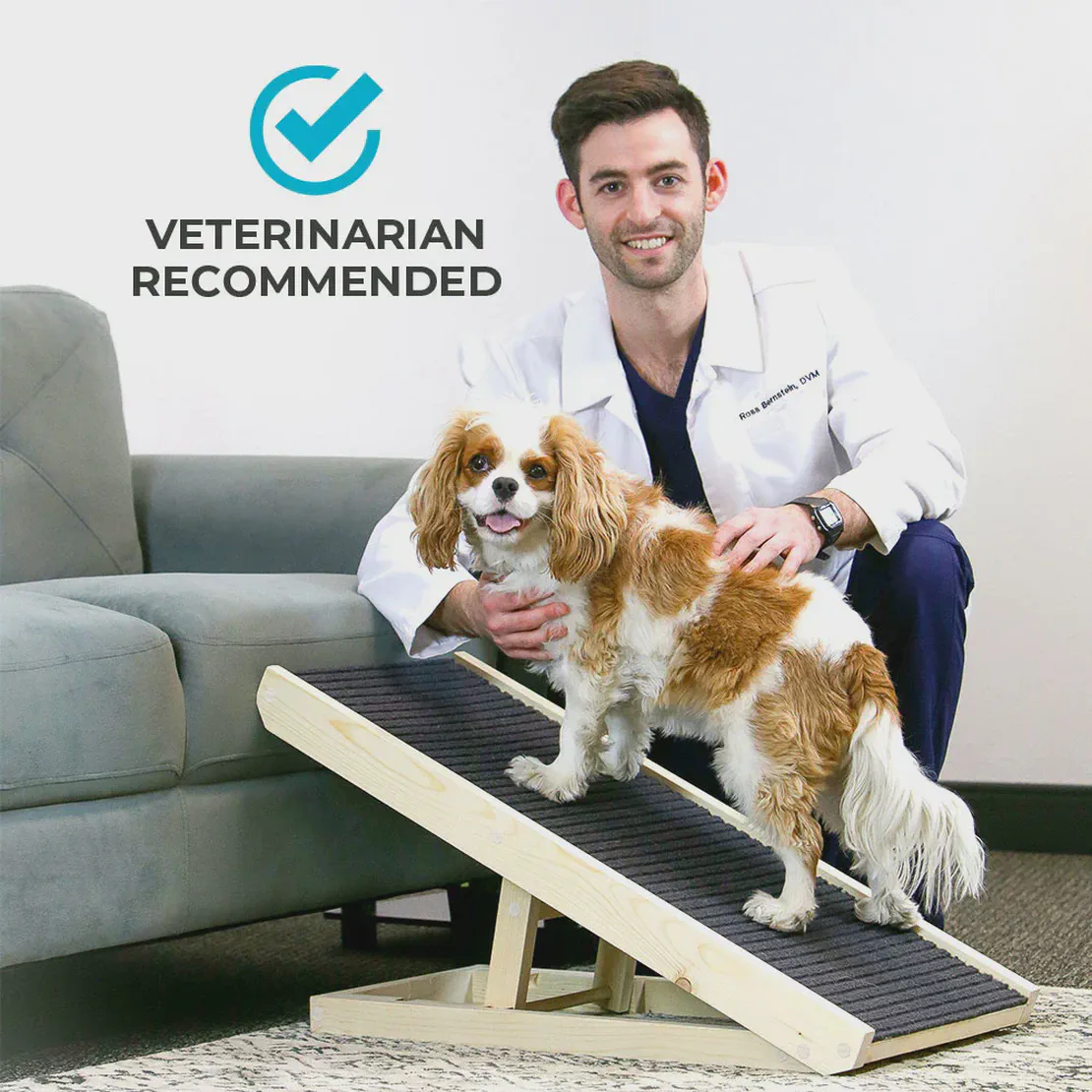 Vet Approved