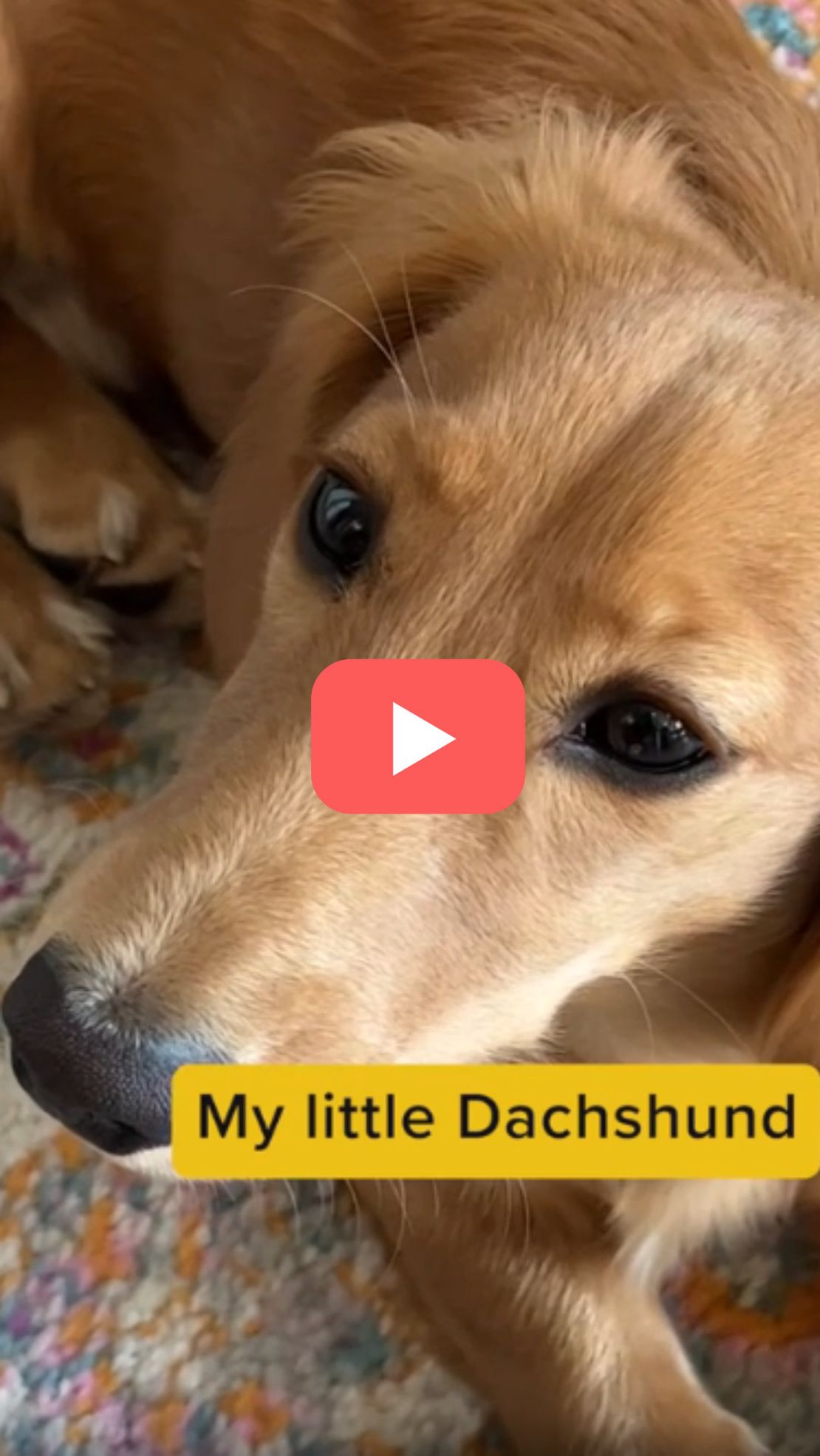 First walk down