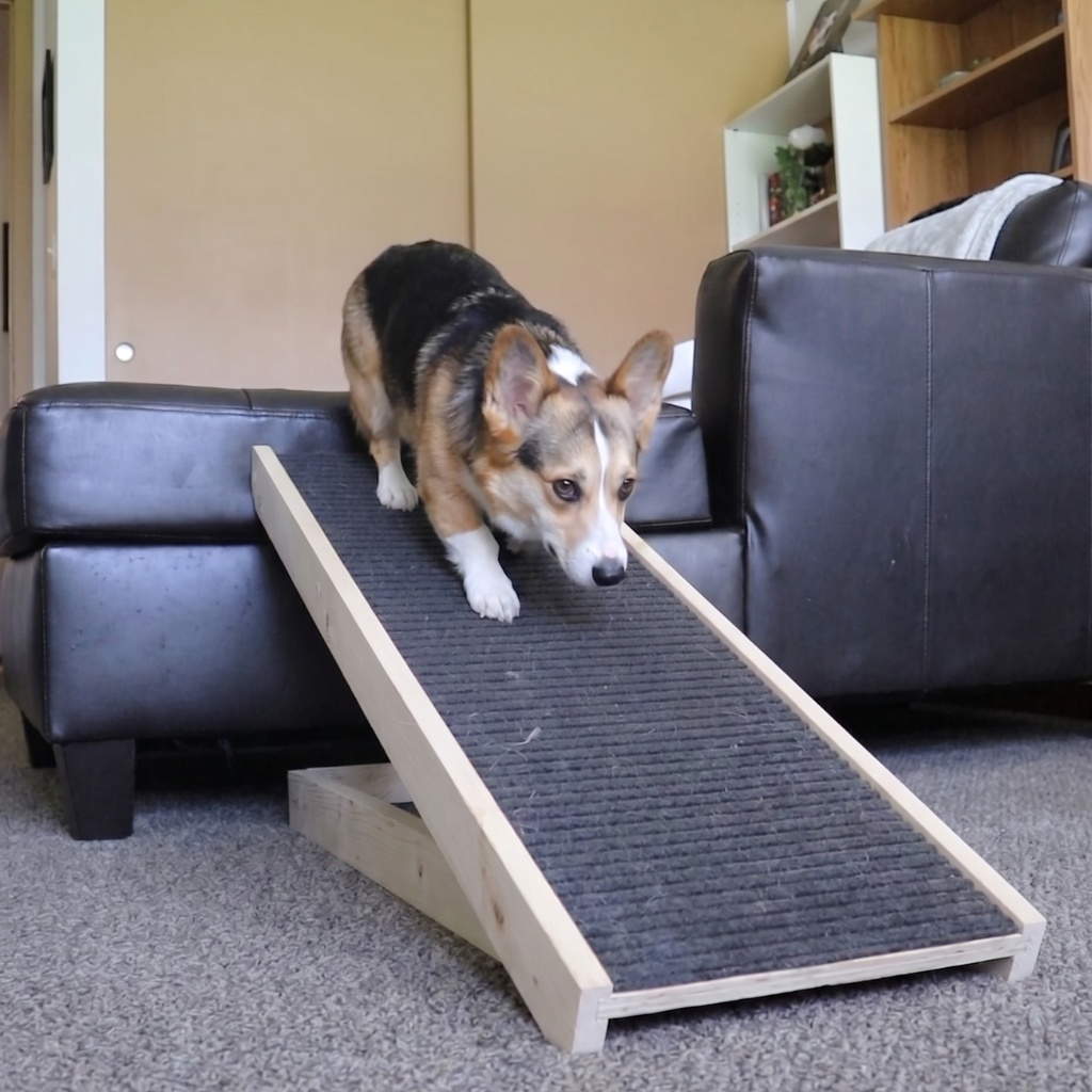 Dog walking down a Pawramp from the couch.