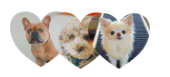 Alpha Paw Love